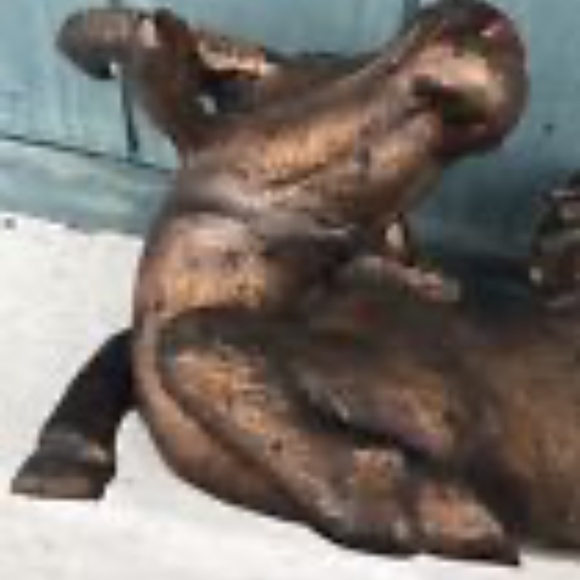 Scarce Antique Chinese Lucky Fengshui Buffalo Bull Figurine Sculpture Harvard - Picture 6 of 11